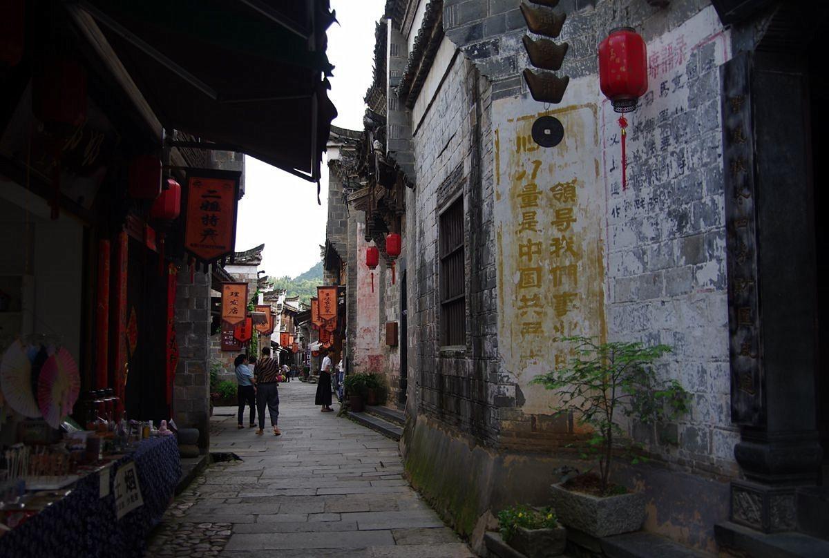 探探猫历险记